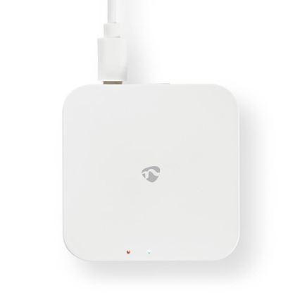 Смарт портал ZigBee 5VDC