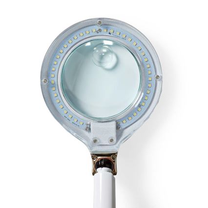 LED Настолна лампа с лупа LED/6,5W/230V 6500K