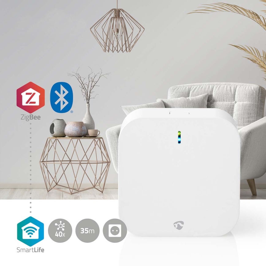 Смарт портал SmartLife Wi-Fi Zigbee