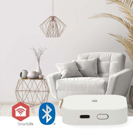 Умен шлюз SmartLife 5V Wi-Fi