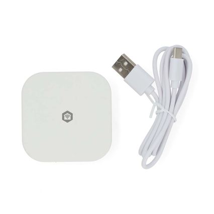 Умен шлюз SmartLife 5V Wi-Fi