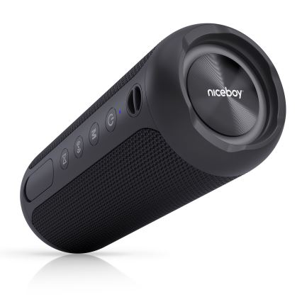 Niceboy Polaris - LED безжичен високоговорител с микрофон 30W/2000 mAh IPX7 черен