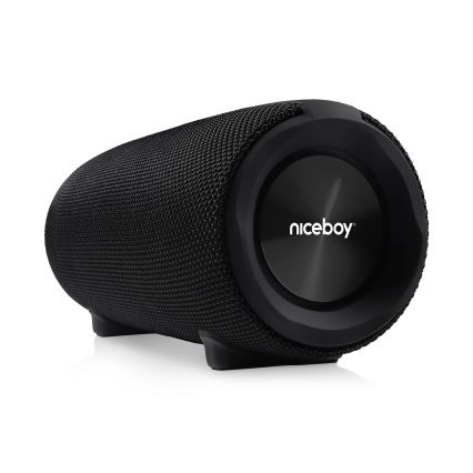 Niceboy Titan 4 - LED Безжична колонка с микрофон и външна батерия функция 50W/4000 mAh IPX7 черен