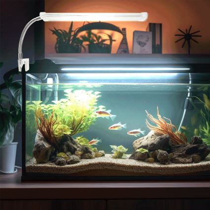 Nobleza - LED Осветление за аквариум LED/6W/230V IPX7 23 см