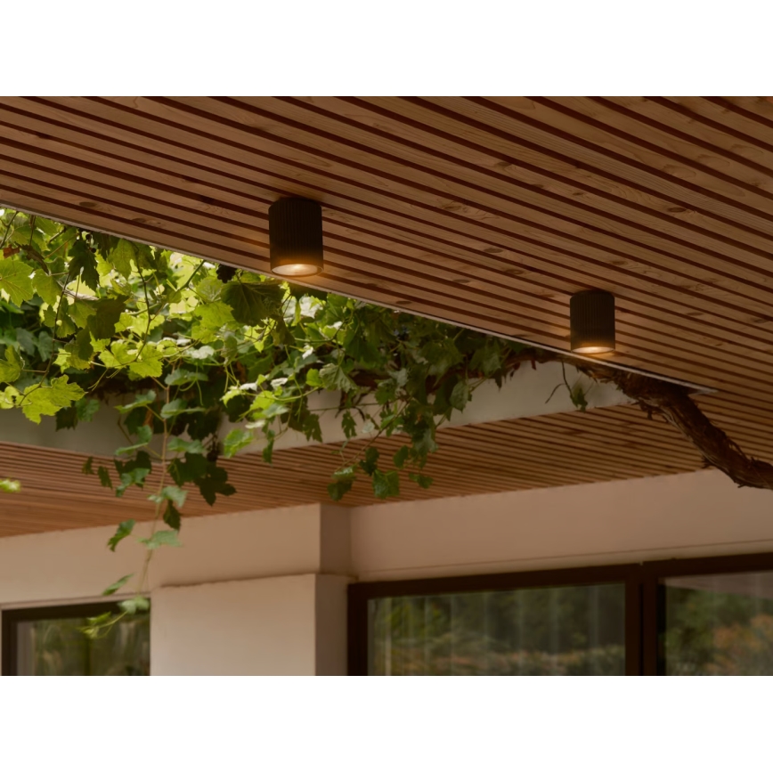 Nordlux - Екстериорна лампа за таван KYKLOP 1xGU10/15W/230V IP54 черен