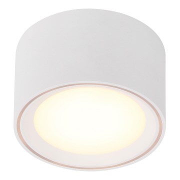 Nordlux - LED Спот FALLON LED/5,5W/230V бял