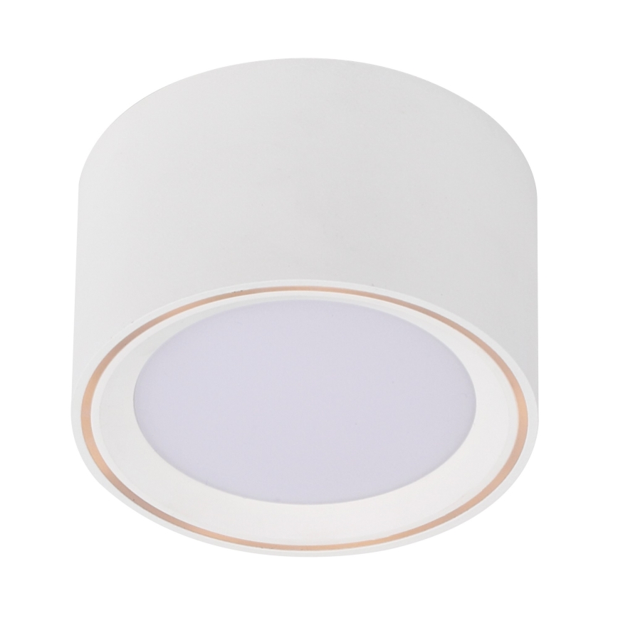 Nordlux - LED Спот FALLON LED/5,5W/230V бял