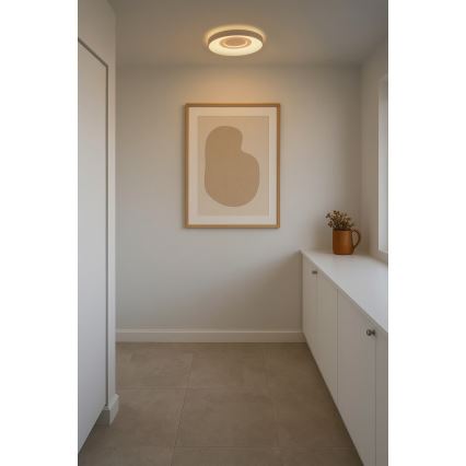 Nordlux - Димируемо LED таванно осветително тяло HALYNA LED/24W/230V 2700/3000/4000K Ø 39,5 см