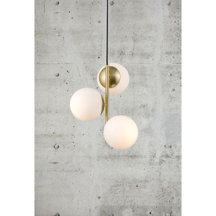 Nordlux - Пендел LILLY 3xE14/40W/230V златист