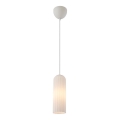 Nordlux - полилей на кабел MIELLA 1xE27/25W/230V бял