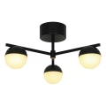Nordlux - Полилей за повърхностен монтаж CONTINA 3xG9/5W/230V черен