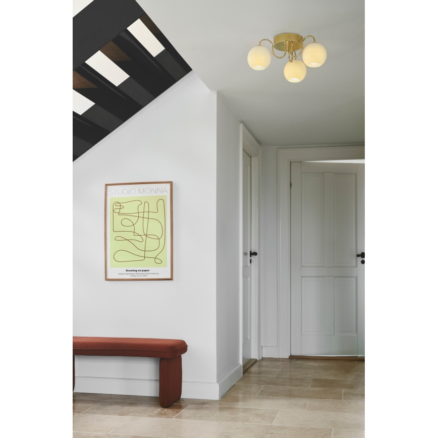 Nordlux - Полилей за повърхностен монтаж FRANCA 3xE14/40W/230V