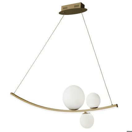 Ondaluce - LED димируем полилей на кабел ALTALENA LED/48W/230V златен/бял