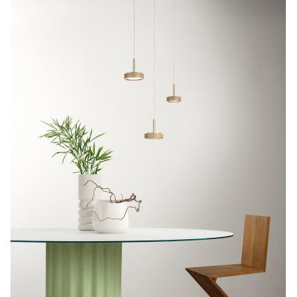 Ondaluce - LED полилей на кабел NINA LED/20W/230V Ø 19 см златист