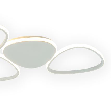 ONLI - LED Плафониера ROMEO LED/48W/230V 4000K бял