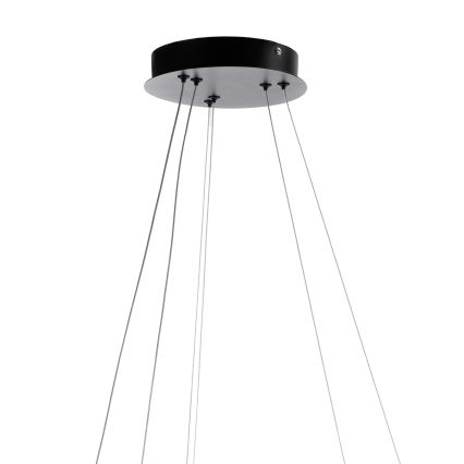 ONLI - LED полилей на кабел NOELIA LED/30W/230V черен