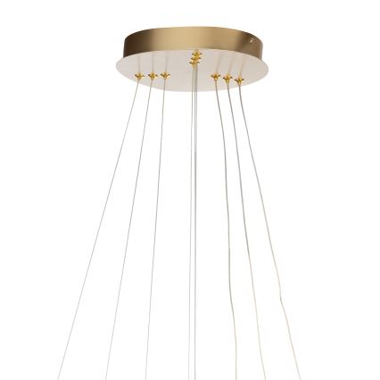 ONLI - LED полилей на кабел NOELIA LED/40W/230V златист