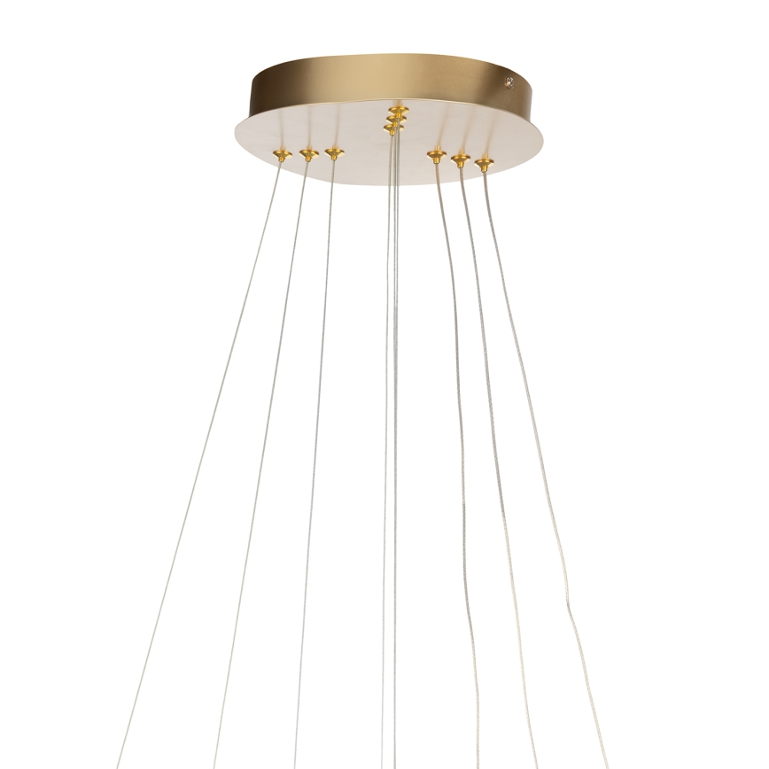 ONLI - LED полилей на кабел NOELIA LED/40W/230V златист