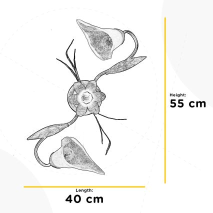 ONLI - Плафон ALGA 2xE14/6W/230V бронзов