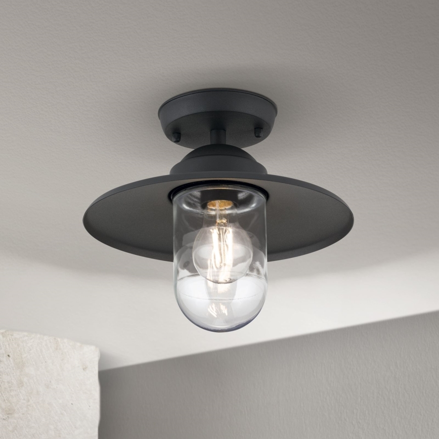 Екстериорен полилей за повърхностен монтаж EDWARD 1xE27/60W/230V IP44 черен