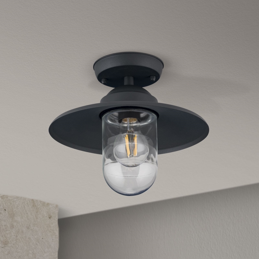 Екстериорен полилей за повърхностен монтаж EDWARD 1xE27/60W/230V IP44 черен