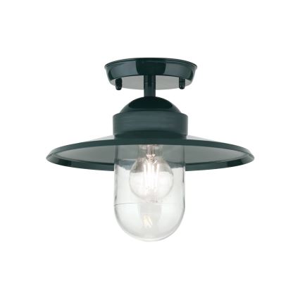 Екстериорен полилей за повърхностен монтаж EDWARD 1xE27/60W/230V IP44 зелен