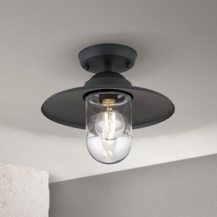 Външен плафон EDWARD 1xE27/60W/230V IP44 антрацит