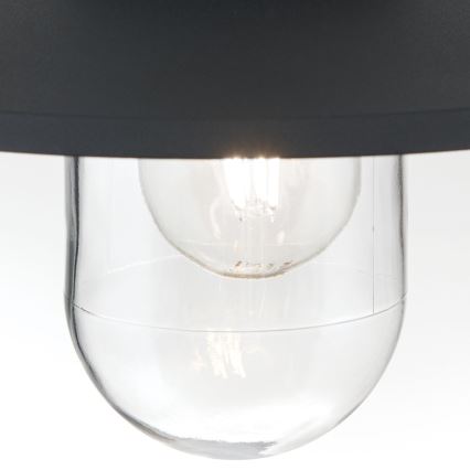 Екстериорна висяща лампа EDWARD 1xE27/60W/230V IP44 черен
