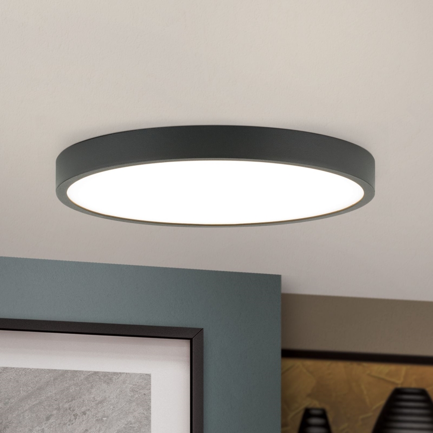 LED Плафониера BULLY LED/24W/230V Ø 24 см черен