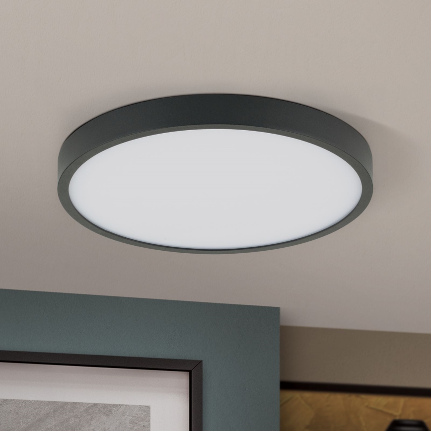 LED Плафониера BULLY LED/24W/230V Ø 24 см черен