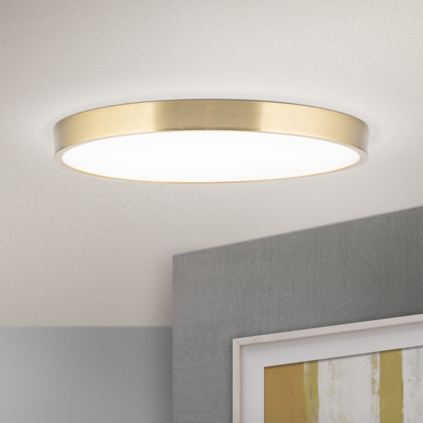 LED Плафониера BULLY LED/28W/230V Ø 28 см златист