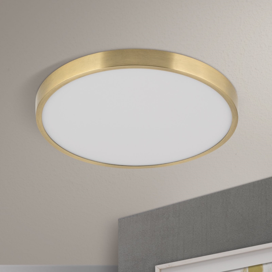 LED Плафониера BULLY LED/28W/230V Ø 28 см златист