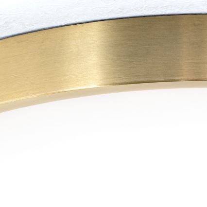 LED Плафониера BULLY LED/28W/230V Ø 28 см златист