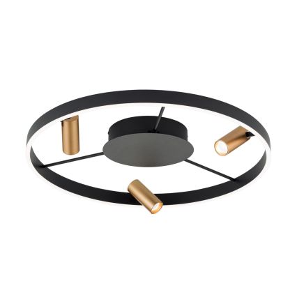 LED регулируемо таванно осветително тяло BERLIN LED/50W/230V черно/златно
