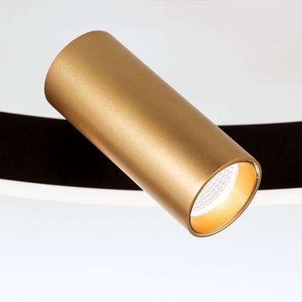 LED регулируемо таванно осветително тяло BERLIN LED/50W/230V черно/златно