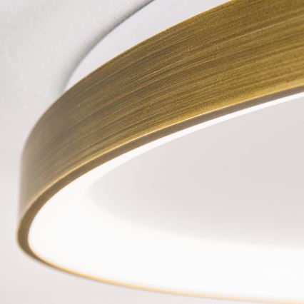 LED Плафониера CHARLIE LED/48W/230V Ø 65 см златист
