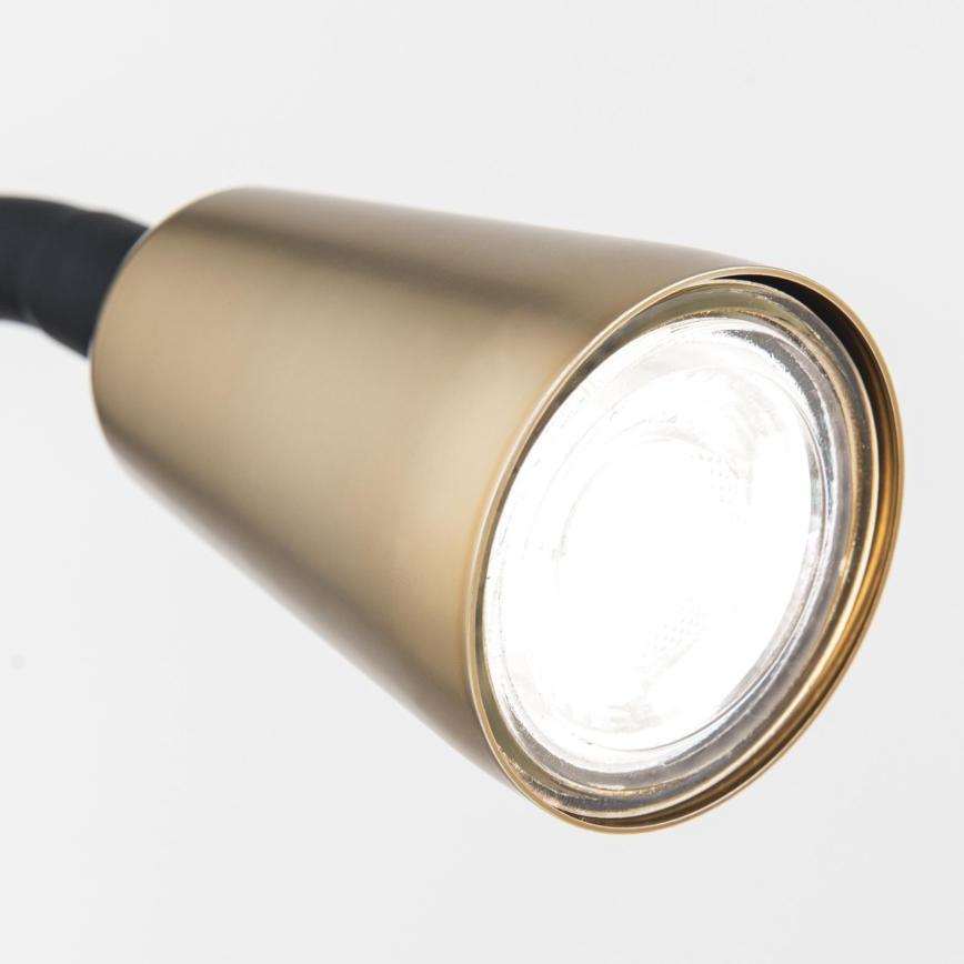 Гъвкава настолна лампа с щипка DOTTY 1xGU10/10W/230V месинг/черна