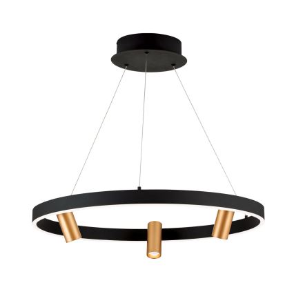 LED Димируем пендел BERLIN LED/50W/230V черен/златист