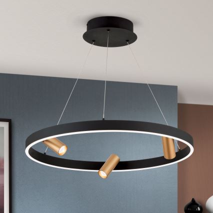 LED Димируем пендел BERLIN LED/50W/230V черен/златист