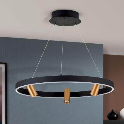 LED Димируем пендел BERLIN LED/50W/230V черен/златист