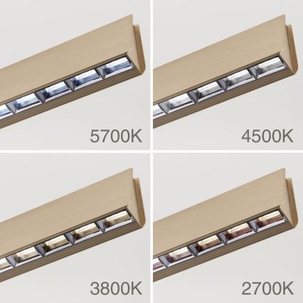 LED Димируем пендел TARA LED/44W/230V 2700/3800/4500/5700K златист