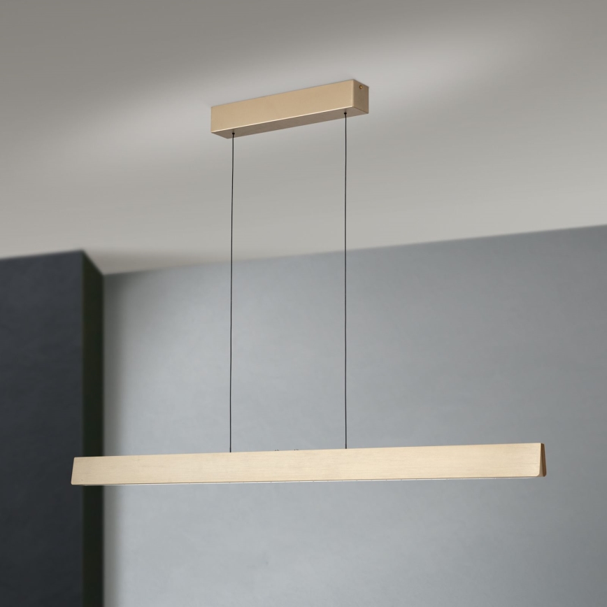 LED регулируема лампа на кабел TARA LED/44W/230V 2700/3800/4500/5700K златисто