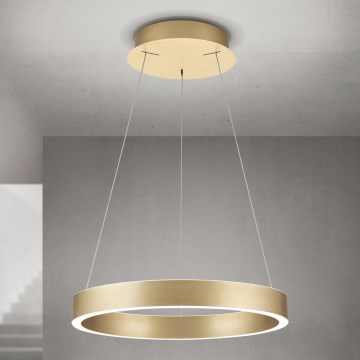Orion - LED димируем полилей на кабел KOLK LED/40W/230V 2700/3000/4000K диам. 40 см златист