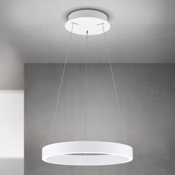 Orion - LED димируем полилей на кабел KOLK LED/40W/230V 2700/3000/4000K Ø 40 cm бял