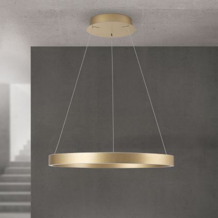 LED димируем полилей на кабел KOLK LED/60W/230V 2700/3000/4000K Ø 60 см златист