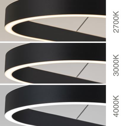 LED полилей на кабел CARRARA LED/80W/230V 2700/3000/4000K черен