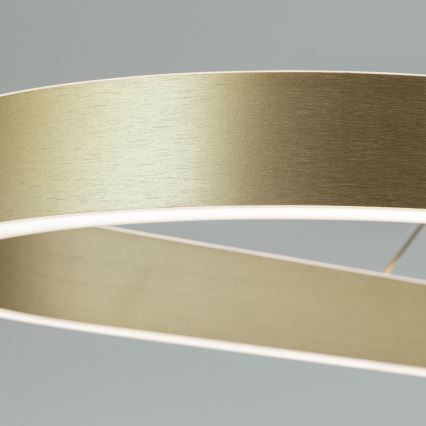 LED полилей на кабел CARRARA LED/80W/230V 2700/3000/4000K златист