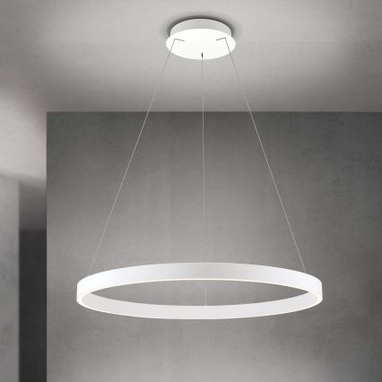 LED полилей на кабел с възможност за димиране KOLK LED/80W/230V 2700/3000/4000K Ø 80 см бял