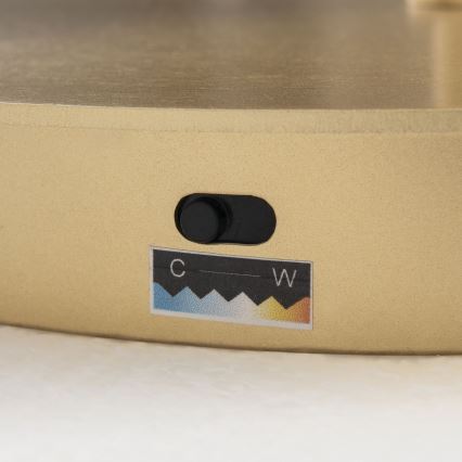 Регулируема LED подова лампа KOLK LED/40W/230V 2700/4000K златна