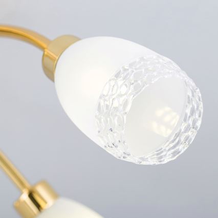 Полилей за директен монтаж CARLA 5xG9/28W/230V, златист